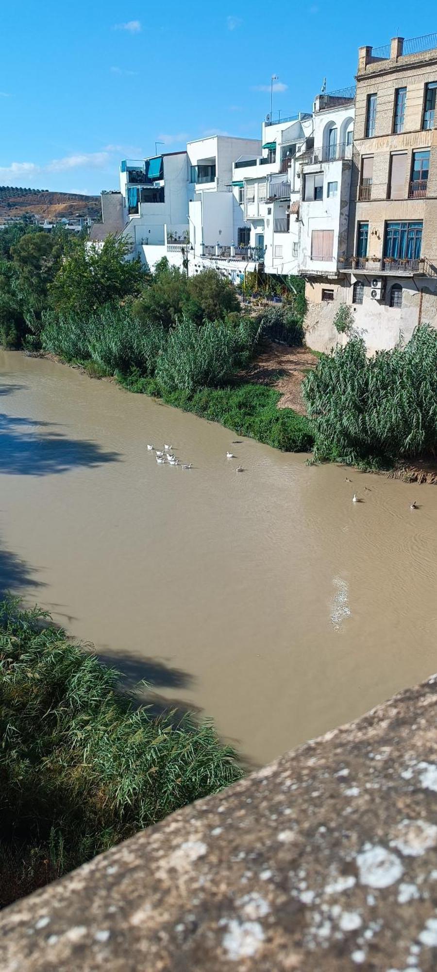 شقة El Patio De La Cris قنطرة شنيل المظهر الخارجي الصورة